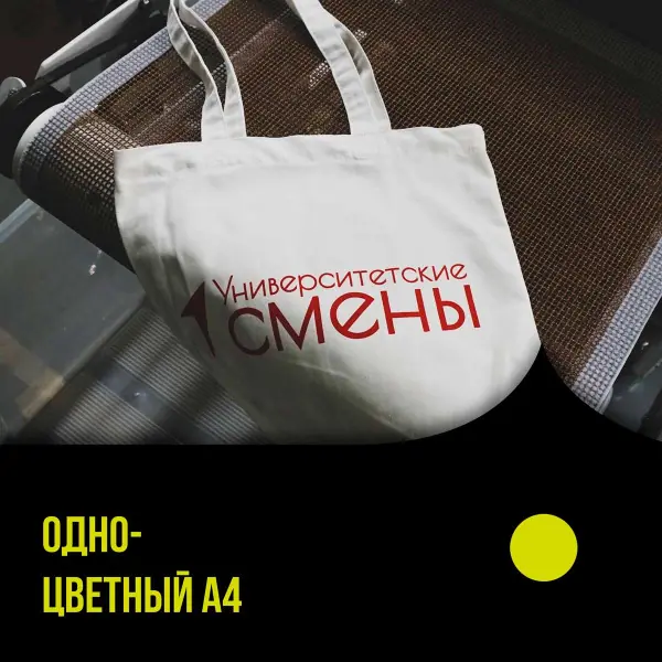 Нанесение шелкографии A4 в 1 цвет в Москве
